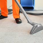 Befoodly Profile Picture