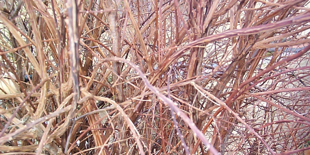 King Billy Casino Australia Bonuses, Pokies & Login Guide