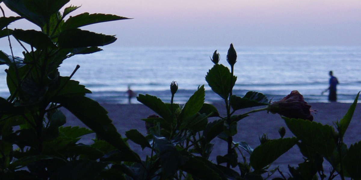 007: Казино Рояль 2006 Plot