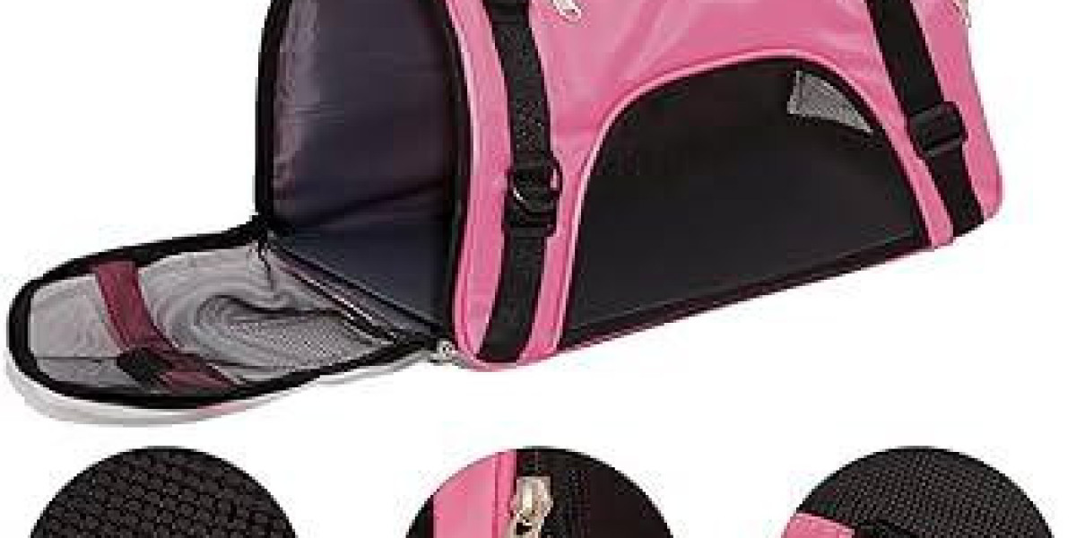 Why Pawtechpet Pet Carriers Factory Ensures Comfort and Security