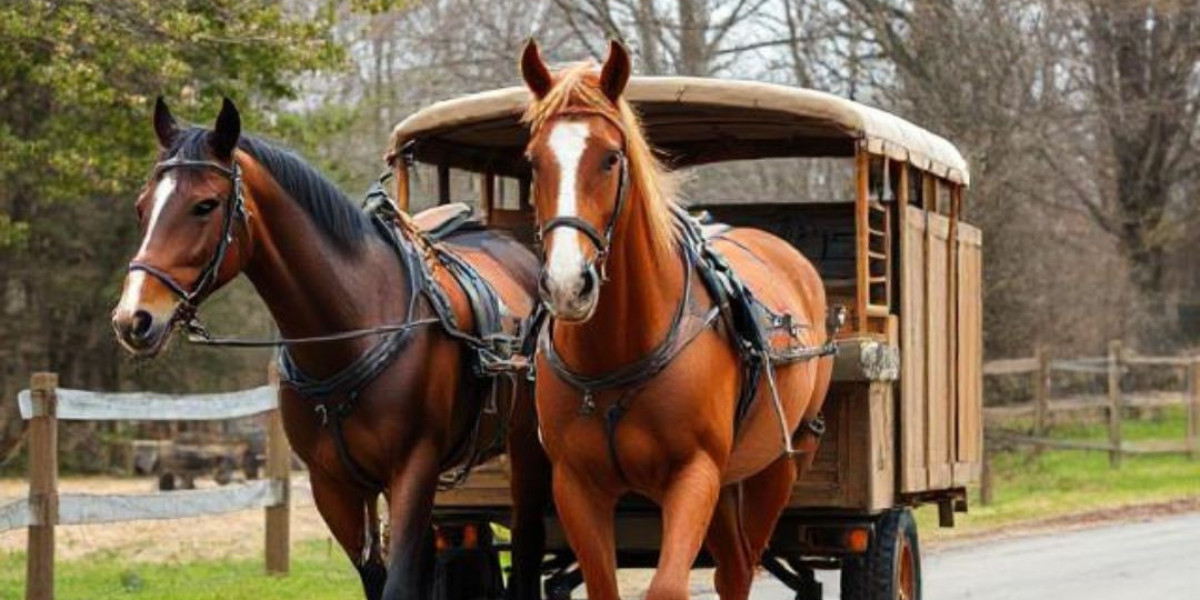 Reliable & Professional Horse Delivery in California
