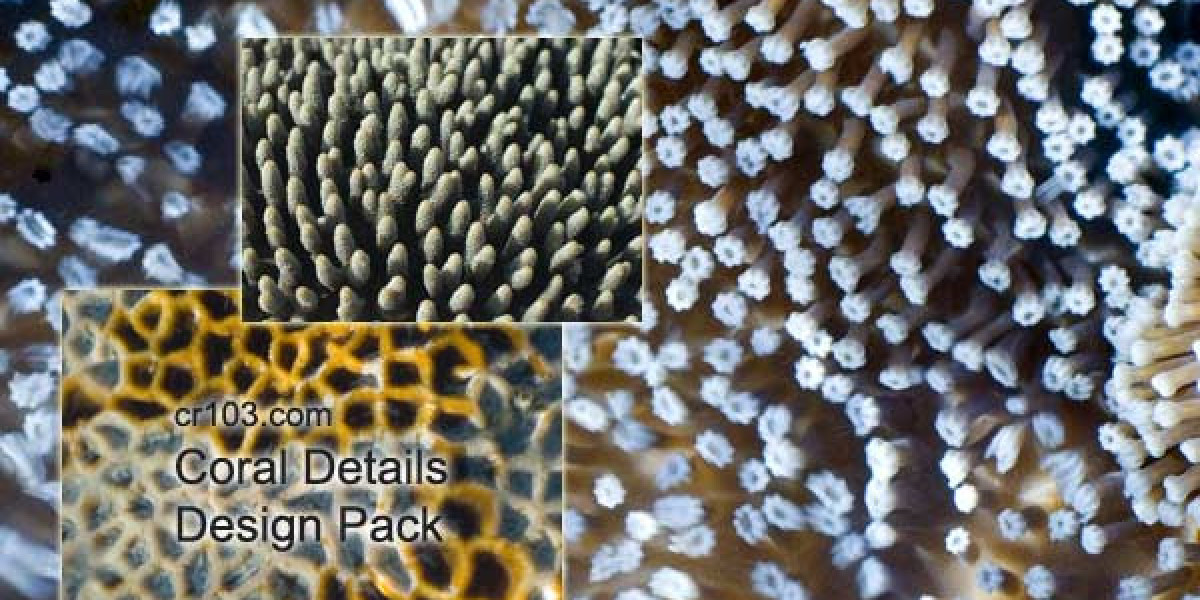 Woo Casino AU Real-Money Pokies Online & Fast AU$ Payouts