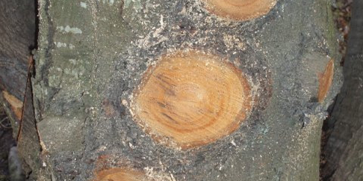 Det Ultimate Kryptocasinoet for Norske Spillere