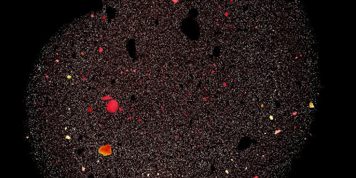 Meet the People Behind the Play