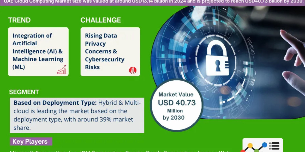 UAE Cloud Computing Market Trends: Growth, Share, Value, Size, and Analysis By 2030