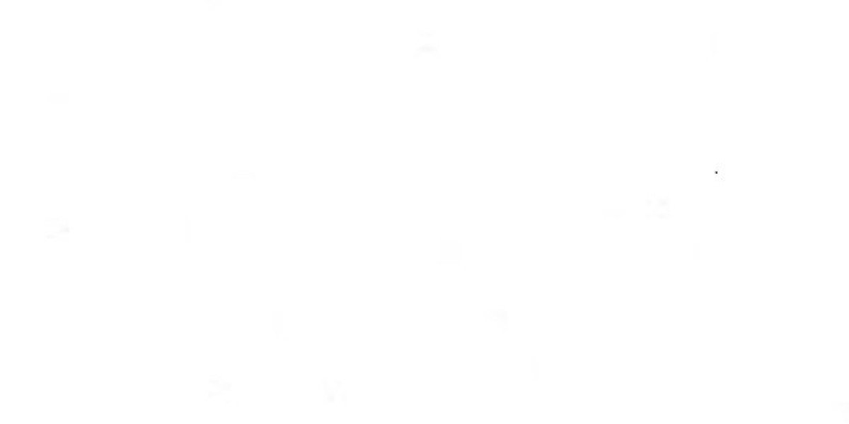 Trust in Digital Platforms: How Communities Decide What Feels Safe Online