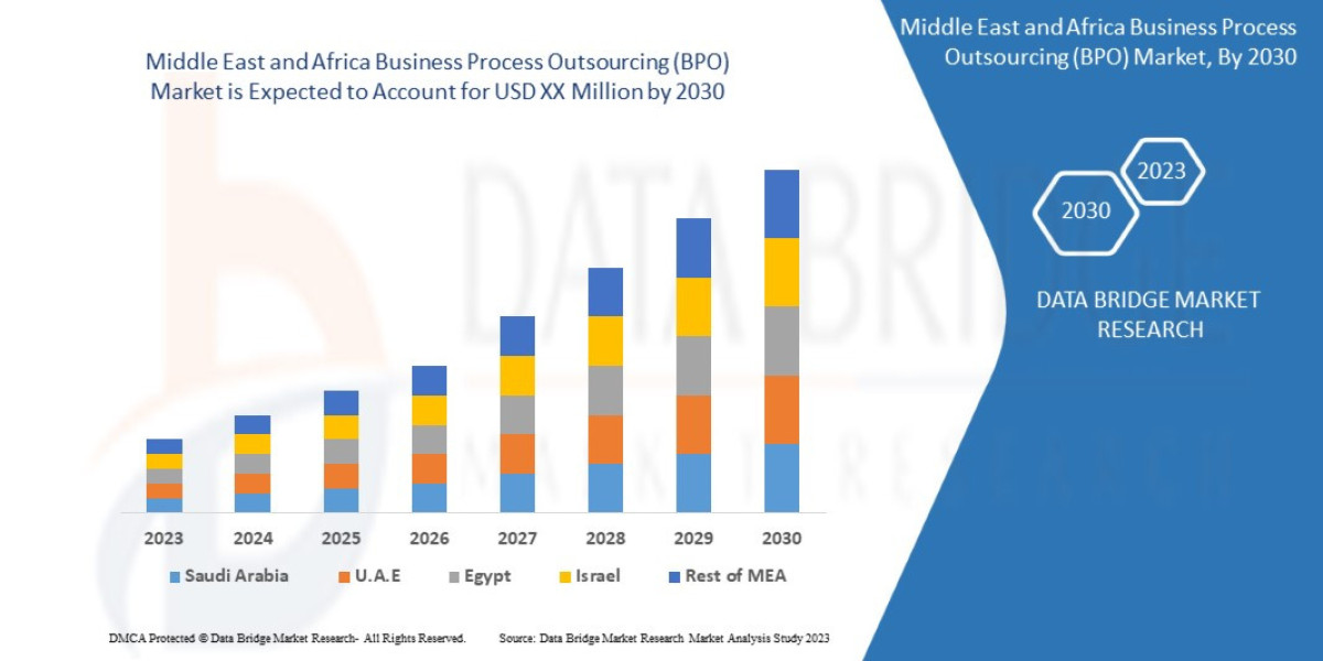 Middle East and Africa Business Process Outsourcing (BPO) Market Analysis: Supply Chain, Pricing, and Forecast 2025 –203