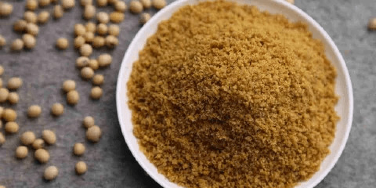 The Vegan Backbone: Why SPC Dominates Plant-Based Meat