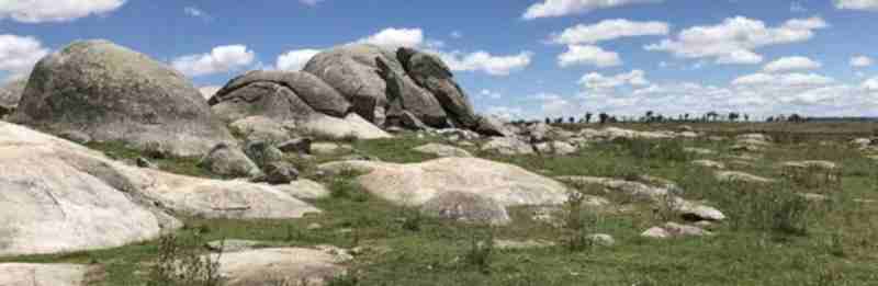 From Brows To Body Art: Permanent Makeup Eyebrows Orlando And Tattoo Rancho Cucamonga Trends