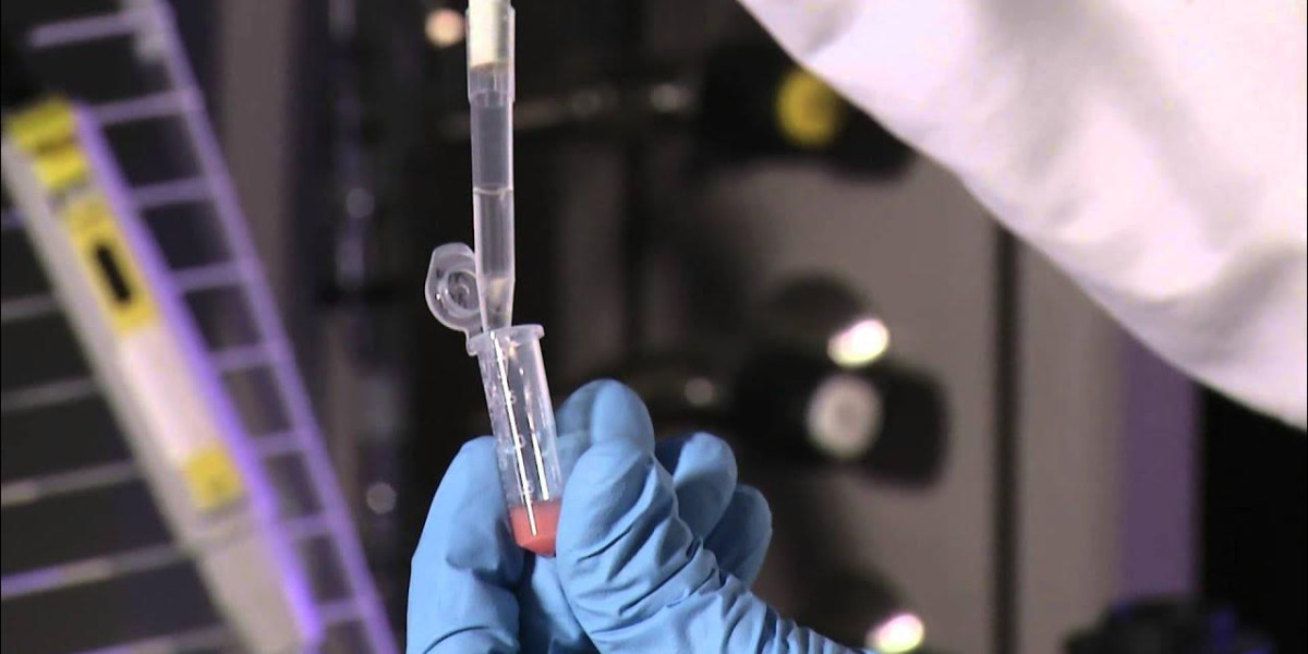 Targeted Precision: The Future of Drug Delivery